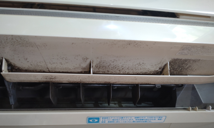 Before：カビがついたエアコンの送風口の写真（清掃前）